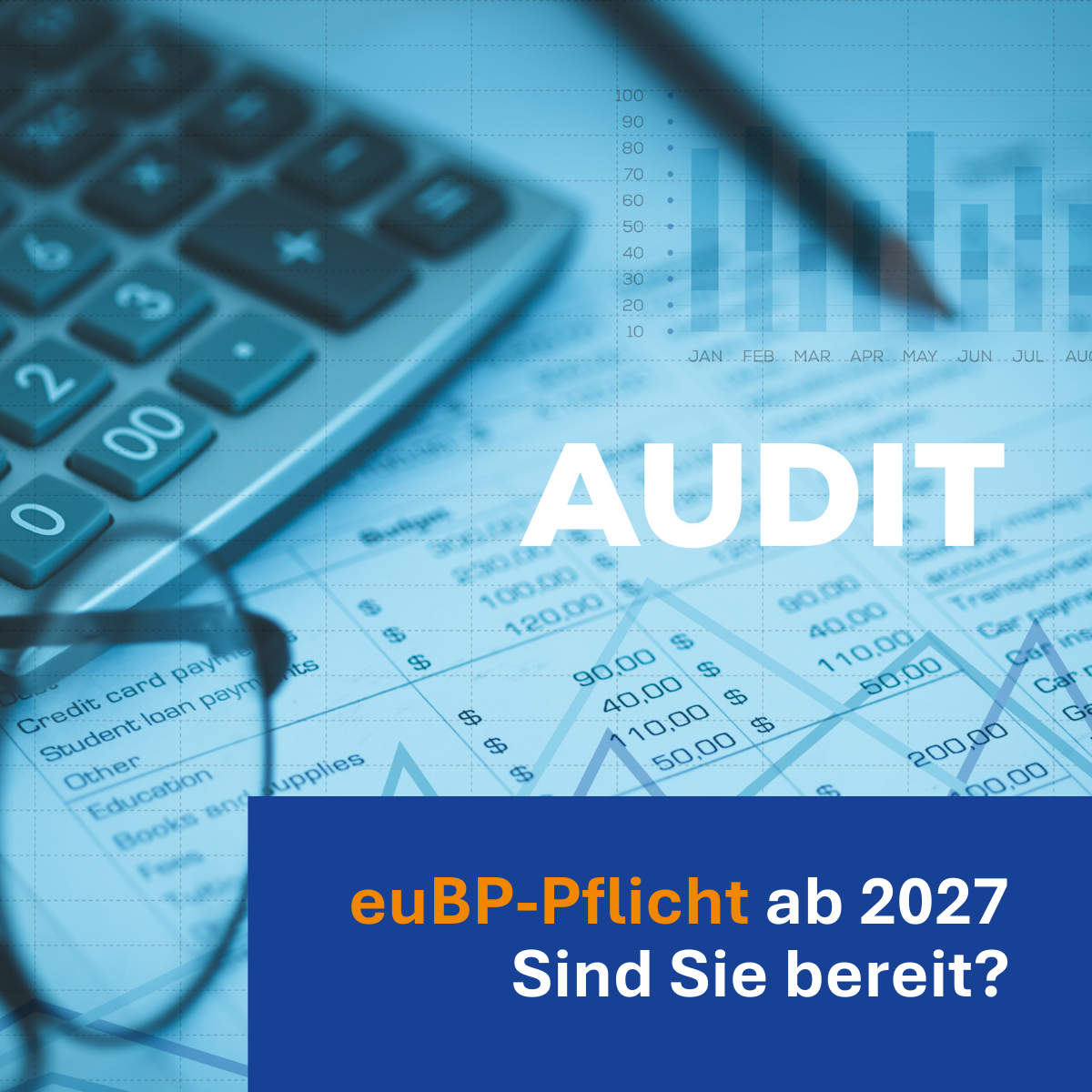 elektronisch unterstützte Betriebsprüfung